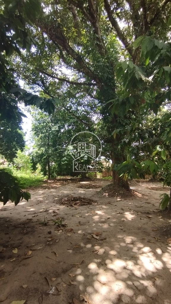 commercial-/-agricultural-dom-aristides-marituba-pa