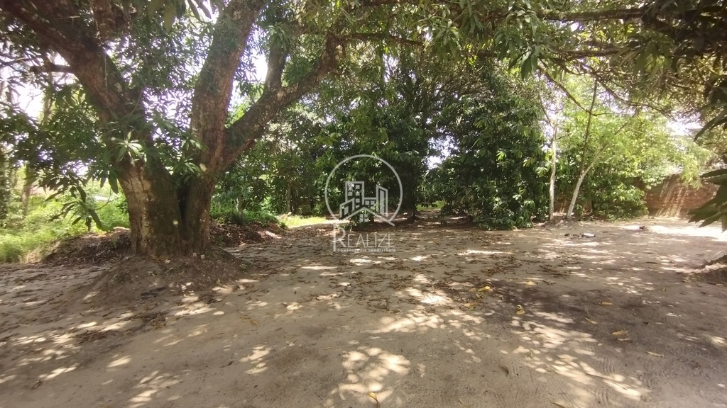 commercial-/-agricultural-dom-aristides-marituba-pa